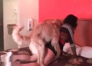 Orgy in the rear end fashion with a puppy