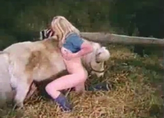 Ultra-kinky dog intercourse action looks great