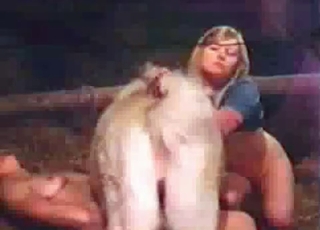 Ultra-kinky dog intercourse action looks great