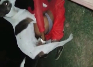 That hole is brilliant for mutt hard-on