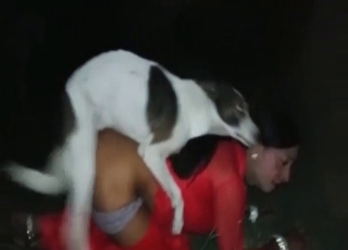 That hole is brilliant for mutt hard-on