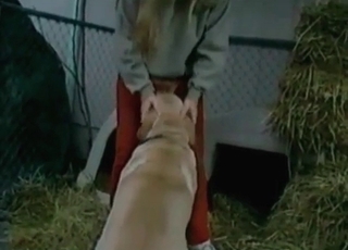 This cockslut wears crimson trousers and gets banged in doggy style