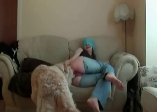 Blindfolded zoophile and her dog