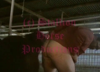 Impressive action with a horny dog