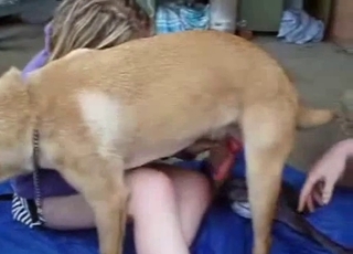 Dog asserting its dominance on camera