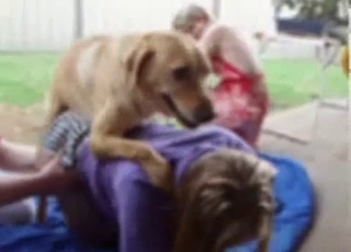 Dog asserting its dominance on camera