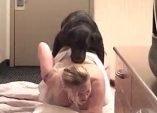 Sex-obsessed pervy black dog