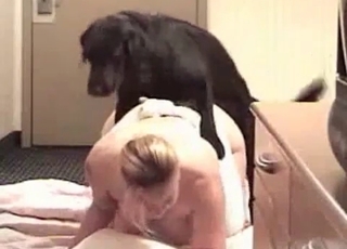 Sex-obsessed pervy black dog