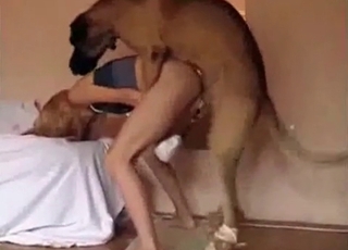 Hound's wiener is a bounty for a zoofil