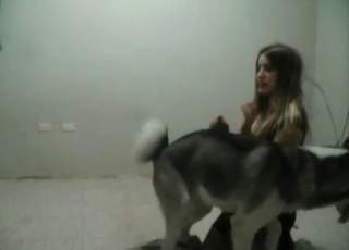 Perverted zoophile having sex with a lovely husky