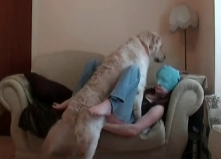 Nasty mutt teasing the possessor here