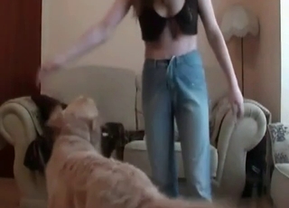 Nasty mutt teasing the possessor here