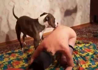 Filthy sex with a nice retriever