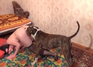 Filthy sex with a nice retriever