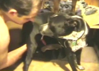 Sexy black rear end and crazy zoo lovers