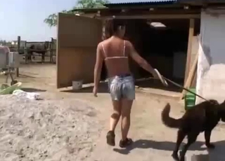Black hunter dog and dark haired in the barn