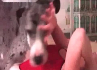 Her labia humped by a big dog