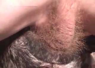 Perfect amateur bestiality Hard-core with my dog