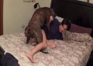 Dog violating that taut hole