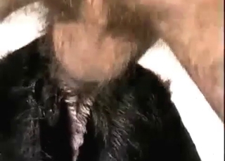 Dark-hued mutt getting gaped from behind