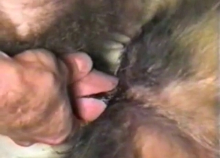 Sweet doggy pounded rock hard in sideways pose