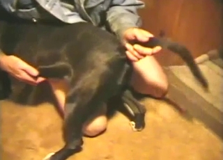 Just toying with my lovely black doggy