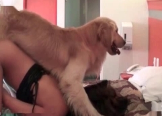 Incredible babe is having sex with her extraordinaire retriever