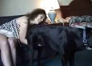 She's so happy, she loves dog cocks