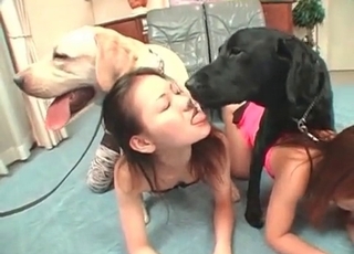 Tastey chick and dog having nice fuck-a-thon