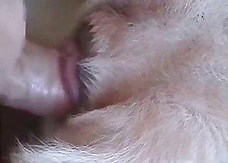 Magnificent youthfull dog adores my hard cock