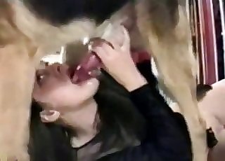 Pervert brunette wants to suck a dog cock like a slut