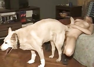 Dog penetrating trimmed pussy here