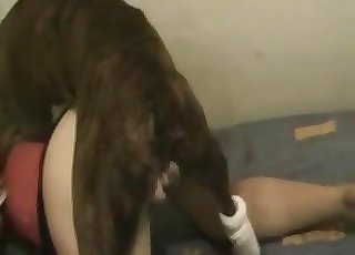 Cute doggy eats her wet tight muff