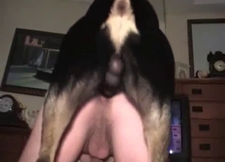 Filth zoophile seducing a hot doggo