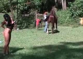 The gorgeous rear end style fuck with a hot stallion