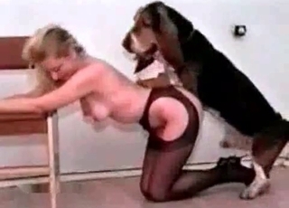 Pantyhose-sporting light-haired fucks a tiny dog
