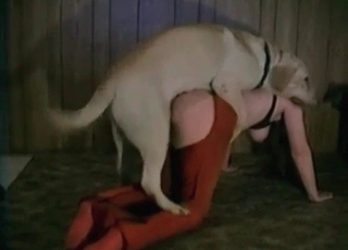 Awesome dog sex action with a zoophile