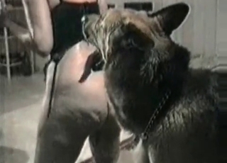 MILF and her submissive edible doggy