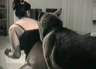 MILF and her submissive edible doggy