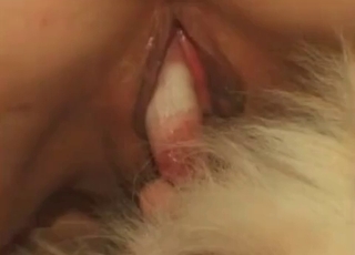 Animalistic love-making with a hound