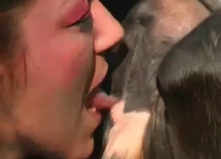 Stallion asshole fucked hard in the doggy style posture