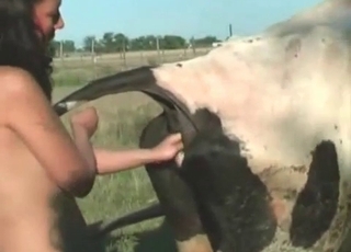 Stallion asshole fucked hard in the doggy style posture