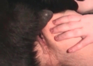 Fucking from behind with a doggy style in this video