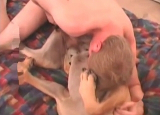 Amateur fucky-fucky with a red-hot dog