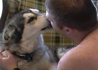 Jerking dog's amazing boner