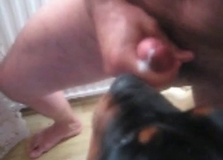 Man gets to cum after sex with his mutt