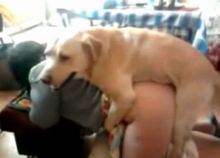 Doggy fashion banging for a large zoophile