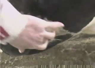 Sexy cow got nicely fucked in the doggy style pose