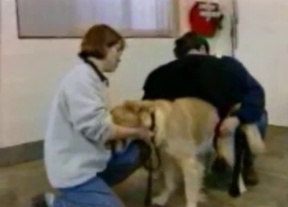 Two dogs gleefully fucking outdoors