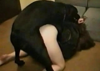 Horny young doggy is banging so freaking fast